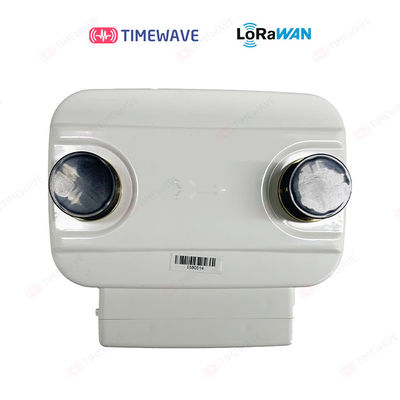 LCD Screen LoRaWAN Gas Meter with Prepaid Function for Remote Reading and Control